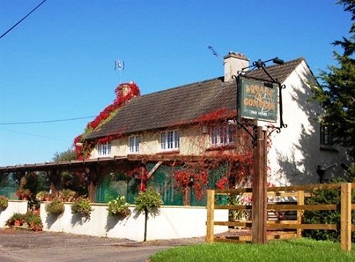 The Flying Fish Stables Hotel Ilminster Exterior foto