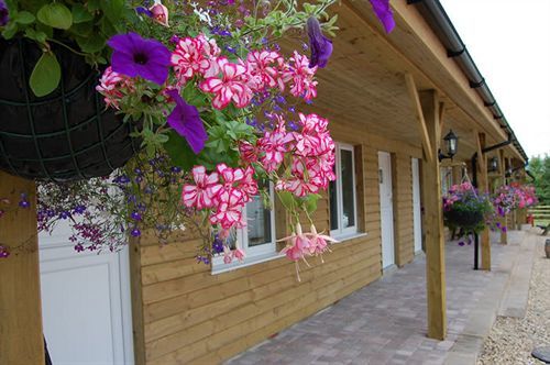 The Flying Fish Stables Hotel Ilminster Exterior foto